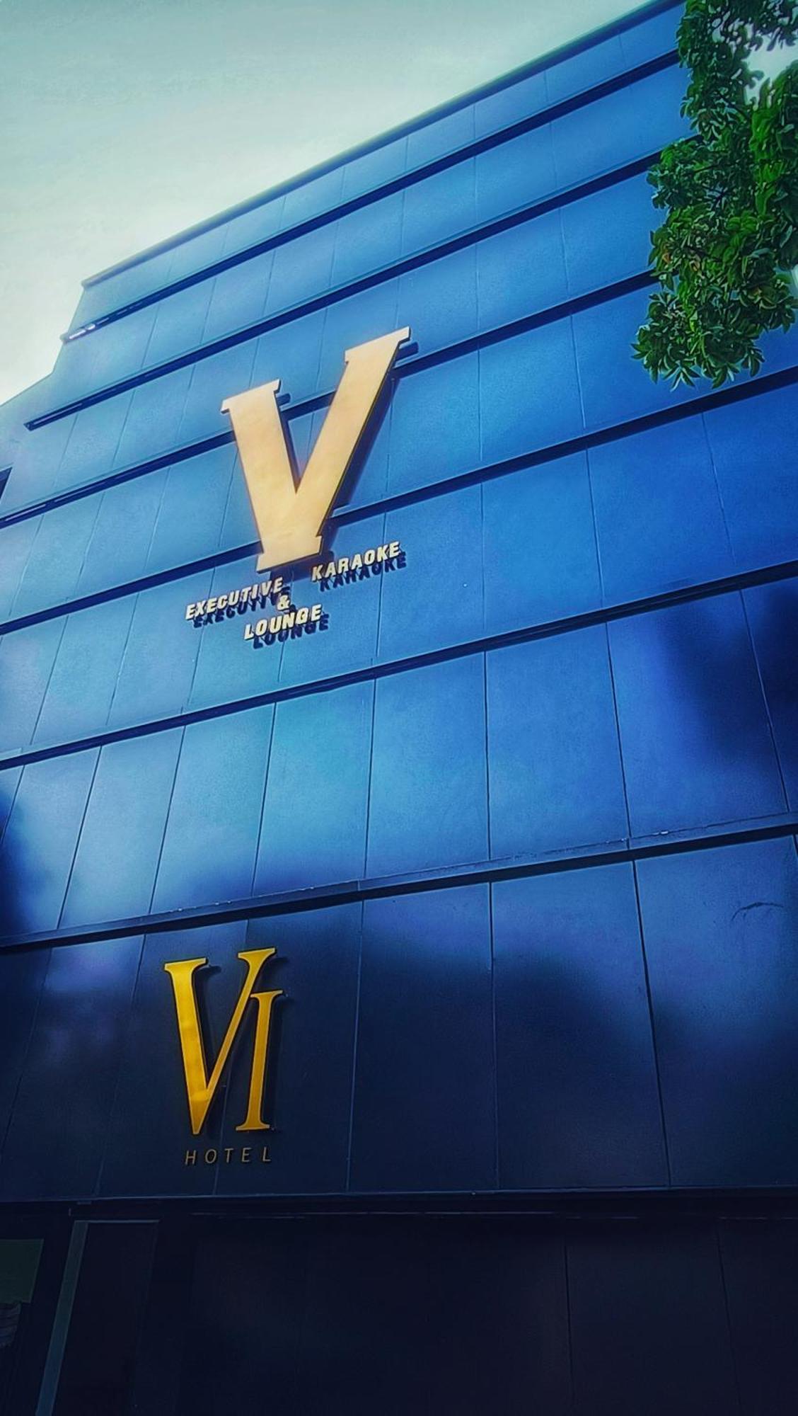 Hotel Vi